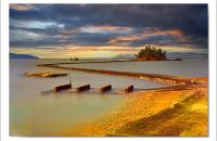 무안 대사리 장노출