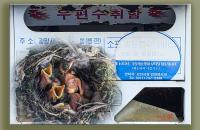 보금자리