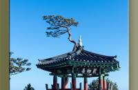 낙산사(義湘臺)