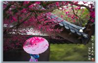 통도사에서  봄 마중...