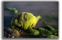 바다향기  가득담은  바다스토리에서~~