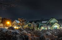 우리동네 한바퀴