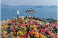 자산공원의 단풍