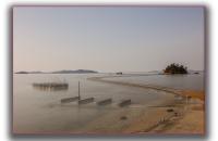 무안 대사리 노두길 입니다  다시 물때 봐서 시도를